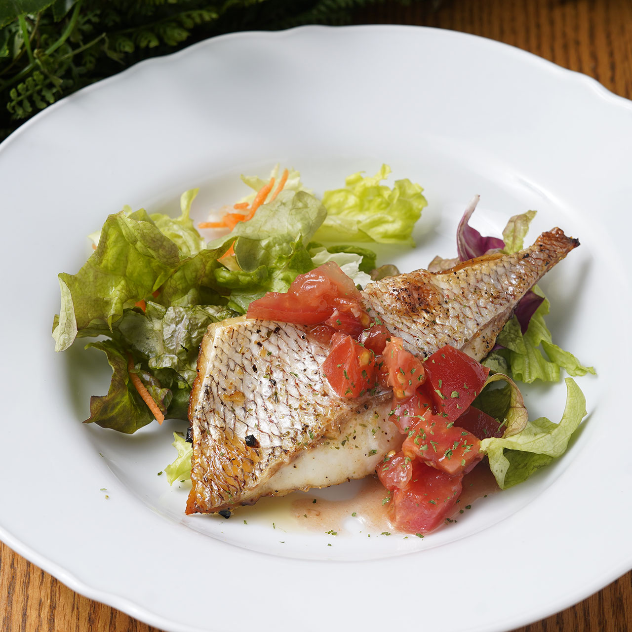 Pesce
